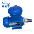 High Performance Magnet Drive Gear Pumpar